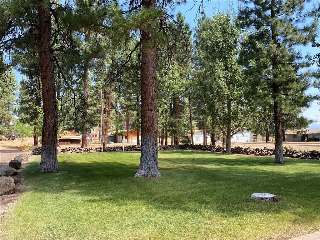 Unincorporated, CA 96130,687790 Chinquepin