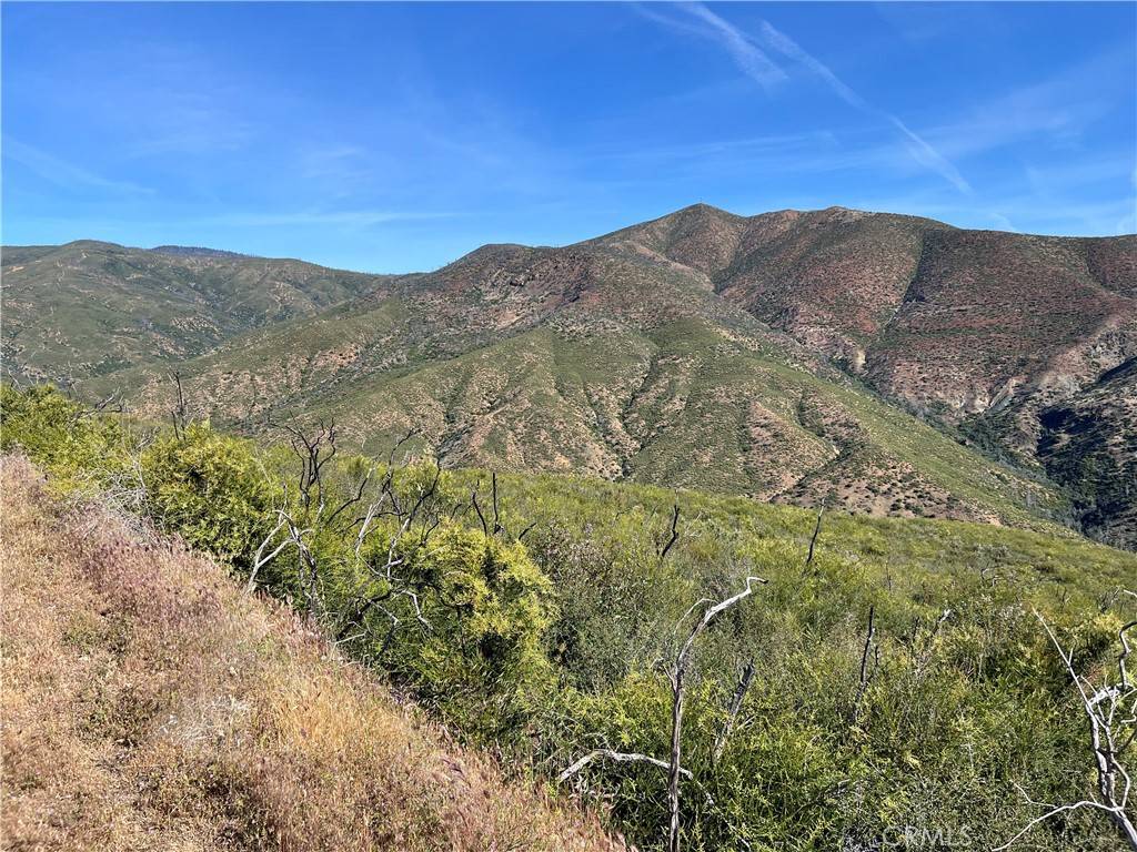 Elk Creek, CA 95963,0 County Road 313