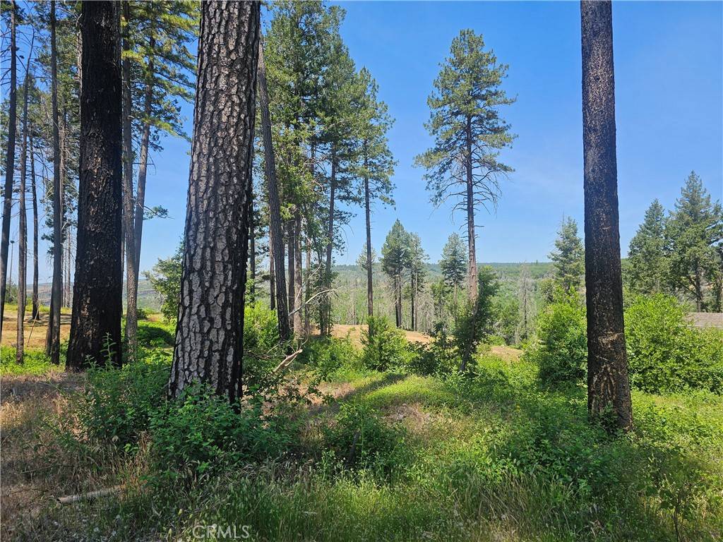 6649 Lincoln DR, Paradise, CA 95969