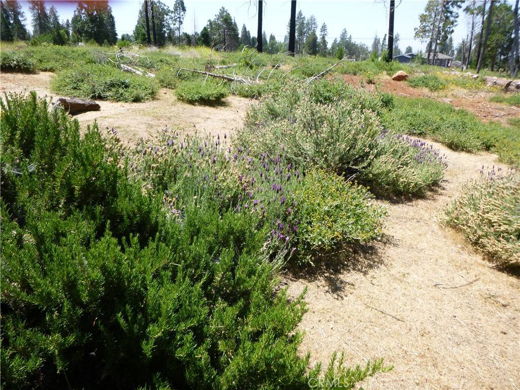 Magalia, CA 95954,6366 Calvin DR