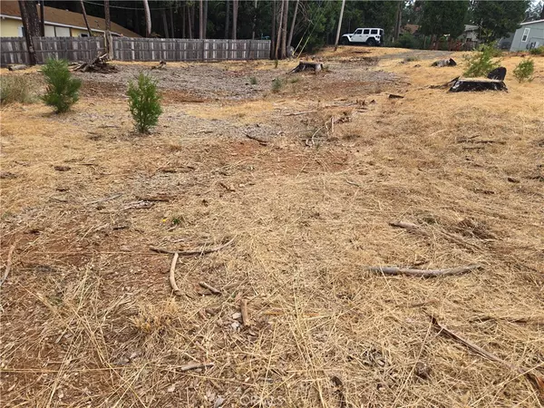 Magalia, CA 95954,14171 Elmira CIR
