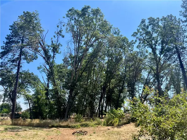 Paradise, CA 95969,1457 Carroll LN