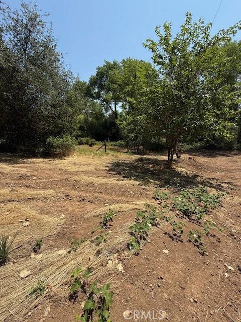 Oroville, CA 95966,2673 Foothill BLVD