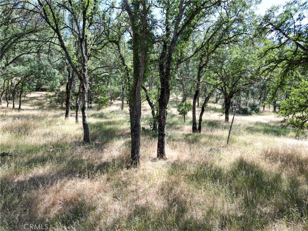 16625 Rancho Tehama RD, Corning, CA 96021