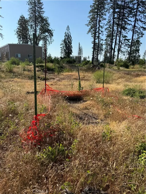 Paradise, CA 95969,1249 Wagstaff RD