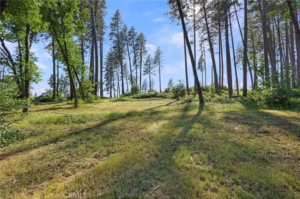Paradise, CA 95969,6344 Forest LN