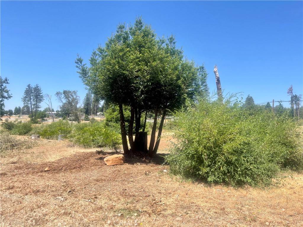 Paradise, CA 95969,5733 Copeland RD