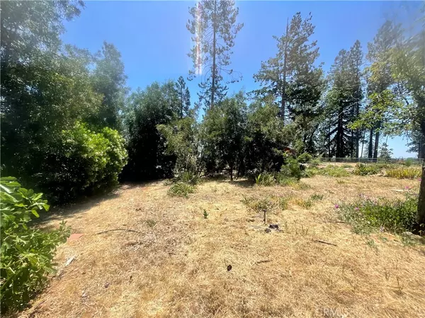 Paradise, CA 95969,5733 Copeland RD