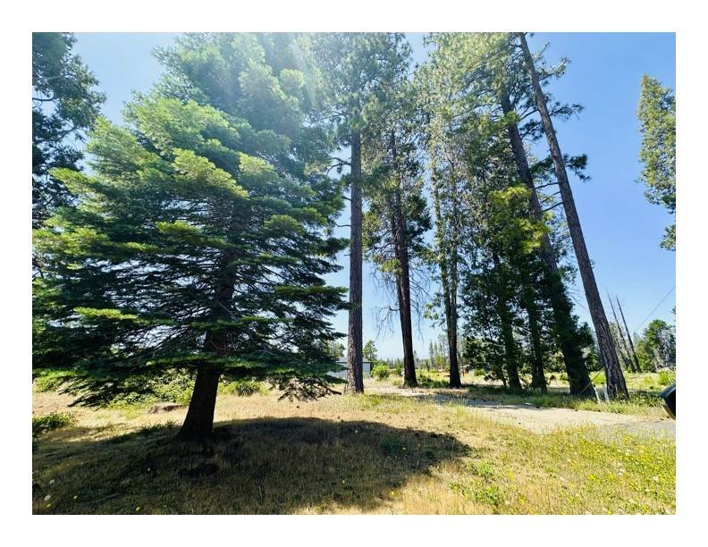 Magalia, CA 95954,6394 Calvin DR