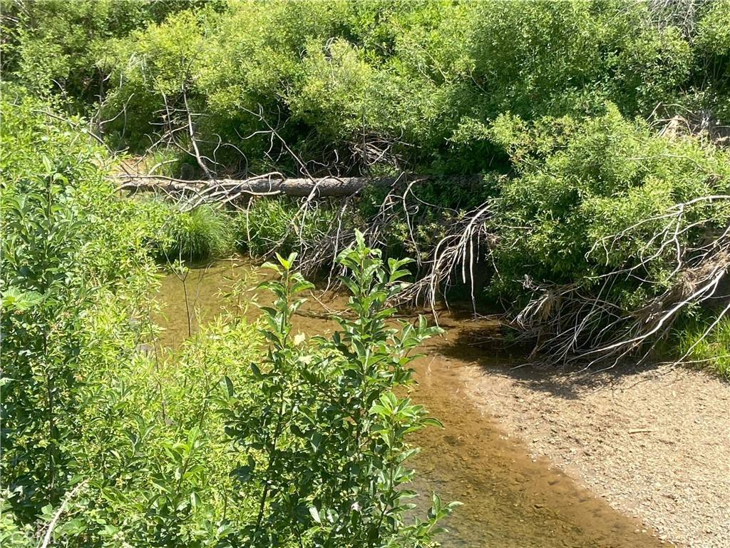 Greenville, CA 95947,169 Hot Springs RD