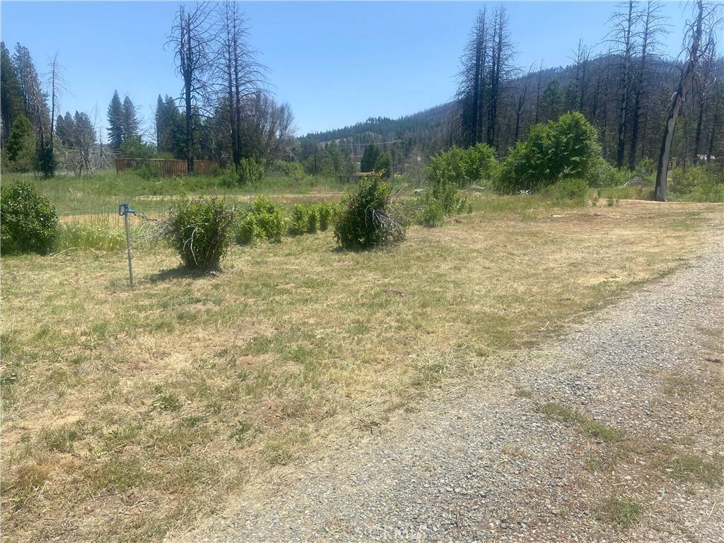 Greenville, CA 95947,169 Hot Springs RD