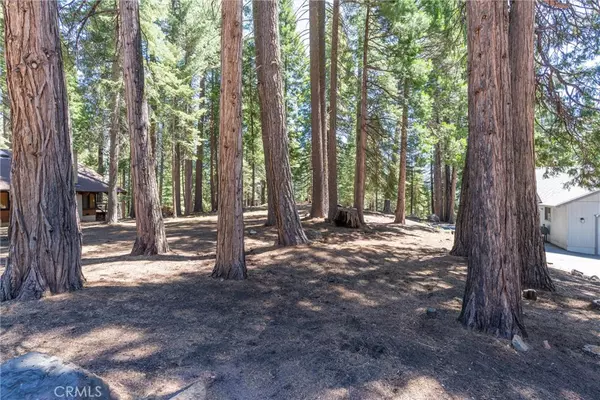 718 E Mountain Ridge RD, Westwood, CA 96137
