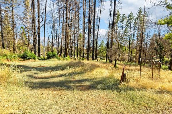 Cohasset, CA 95973,9640 Cohasset RD
