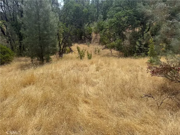 Corning, CA 96021,16295 Hillcrest DR