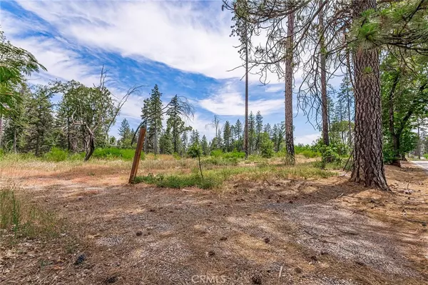 Paradise, CA 95969,1416 Burdaparadise LN