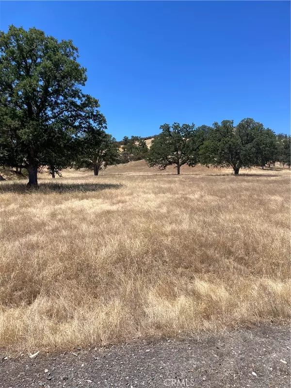 0 Ruby King Rd, Stonyford, CA 95979