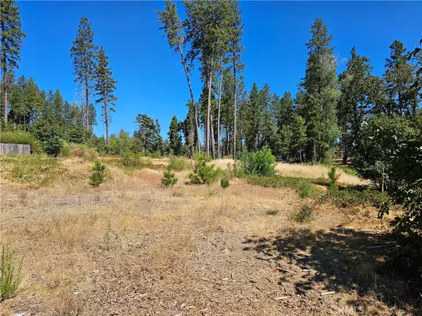 Paradise, CA 95969,1533 Forest Service Rd