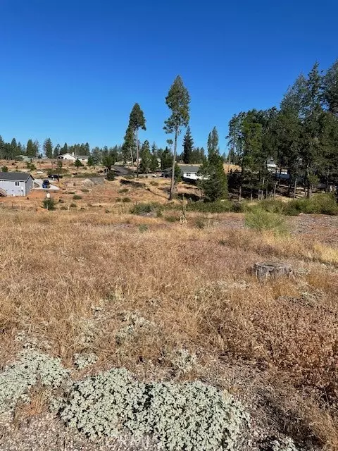Magalia, CA 95954,13807 Andover DR