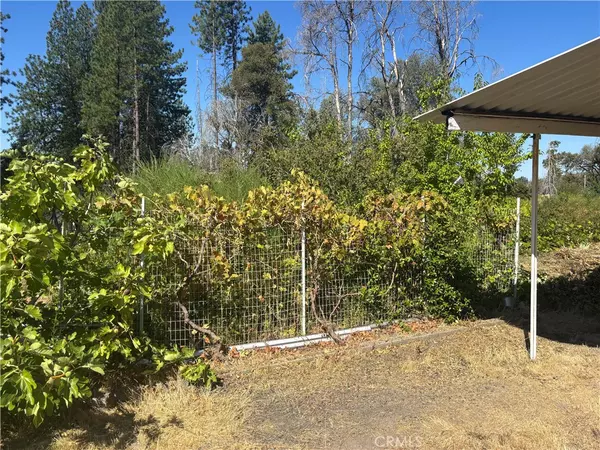 1996 Bald Rock RD, Berry Creek, CA 95916