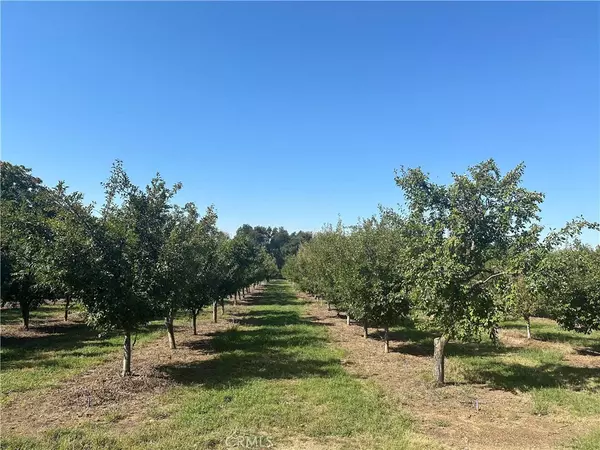 Red Bluff, CA 96080,24365 Oklahoma AVE