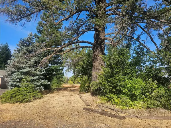 Paradise, CA 95969,5723 Round Tree