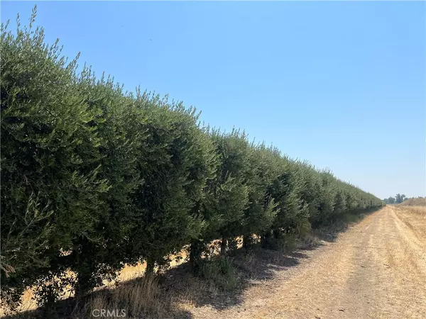 Orland, CA 95963,0 County Road D
