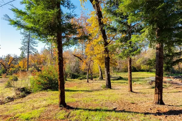 Paradise, CA 95969,2182 DeMille RD