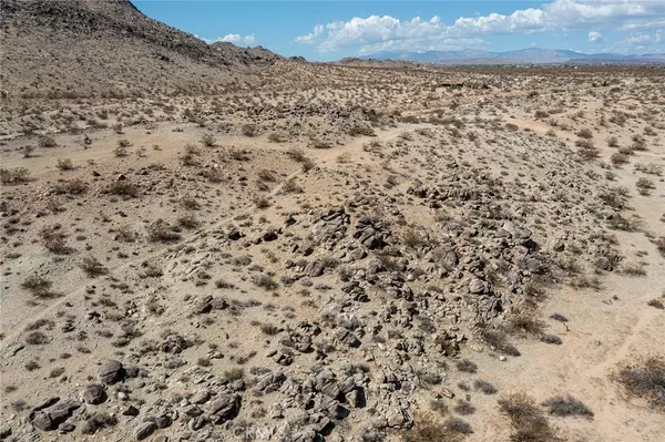 Joshua Tree, CA 92252,0 Campanula ST