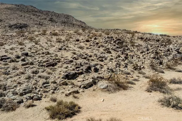 Joshua Tree, CA 92252,0 Campanula ST