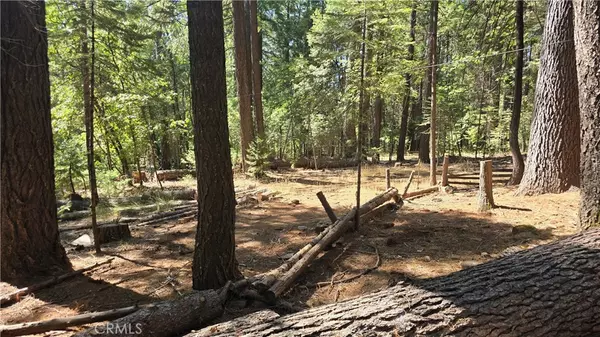 Magalia, CA 95954,6251 Steiffer