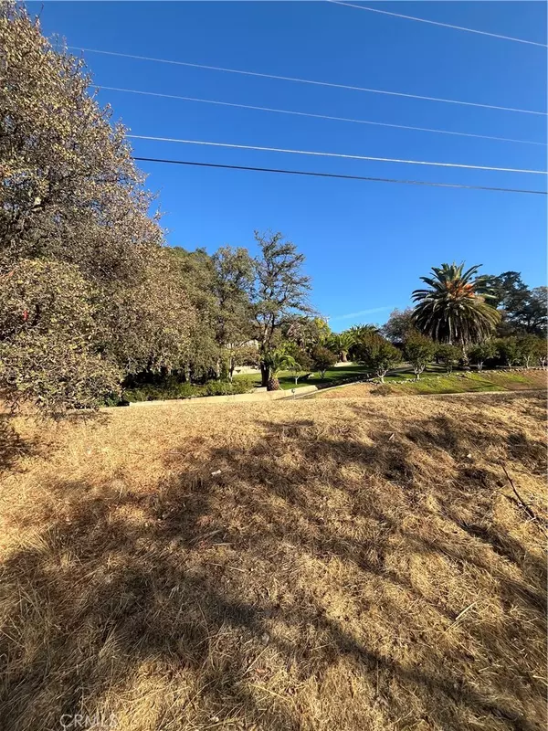 Oroville, CA 95966,175 Lemon Hill