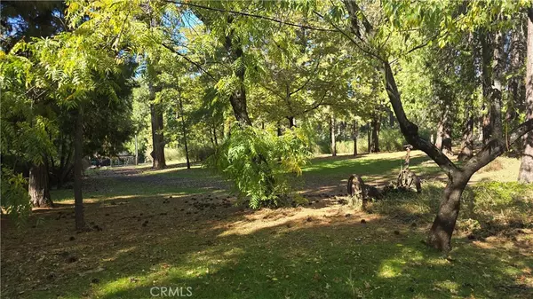 Magalia, CA 95954,13644 Nimshew