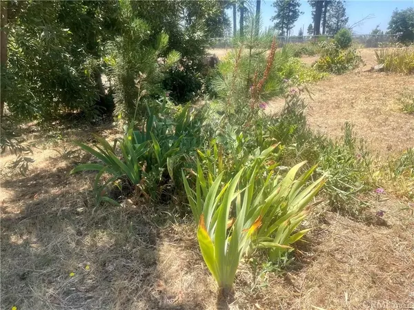 Paradise, CA 95969,5733 Copeland RD