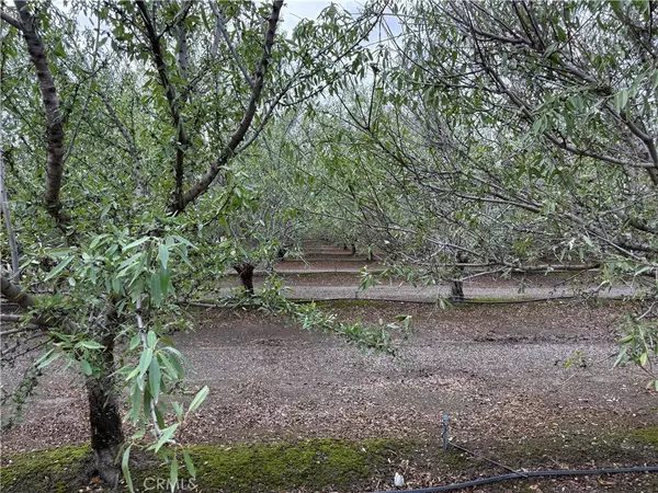 Orland, CA 95963,0 Road M