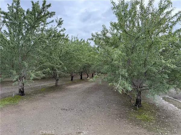 Orland, CA 95963,0 Road M