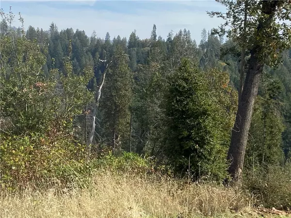 Magalia, CA 95954,13690 Andover