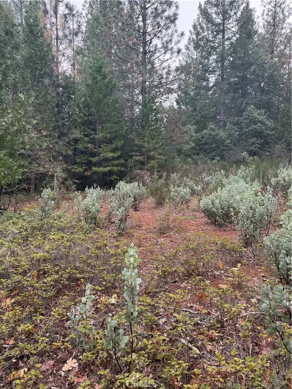 Forbestown, CA 95941,1 Old Forbestown RD