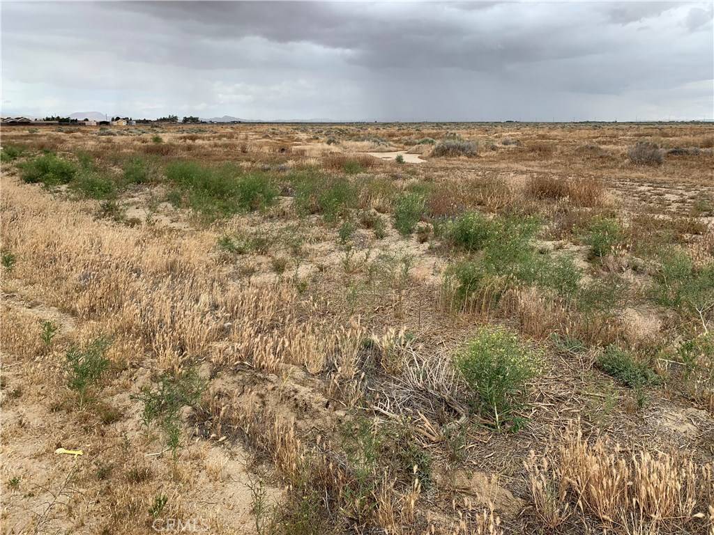 Antelope Acres, CA 93536,0 Vac/80 Stw/Vic Avenue F6