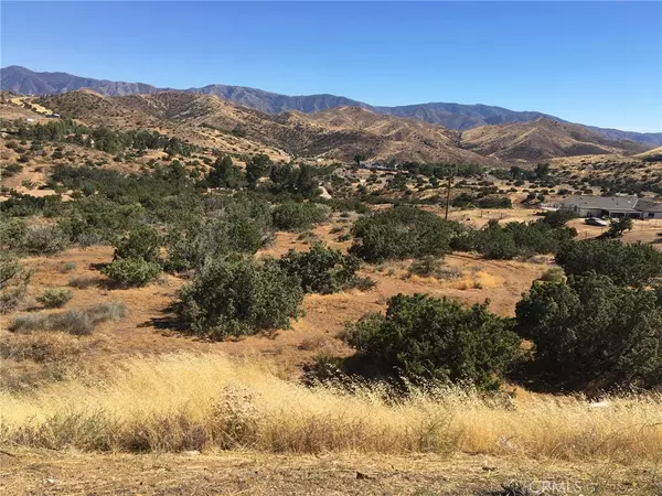 0 Vac/Escondido Canyon Rd/Bigspr, Agua Dulce, CA 91350