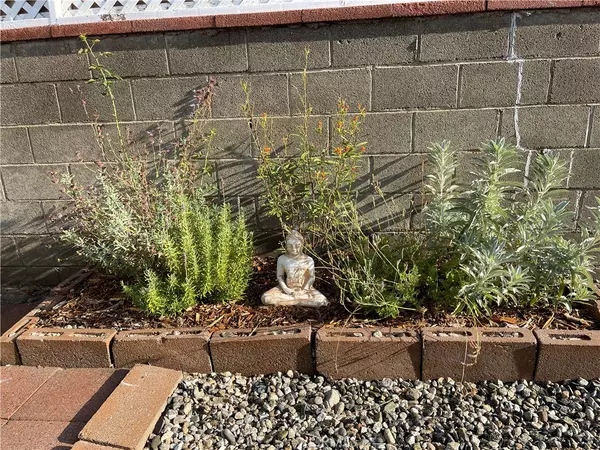 North Hollywood, CA 91606,6171 Cleon AVE