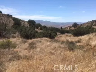 0 Vac/Cor Alfie Road Drt /Hanawa, Agua Dulce, CA 91350