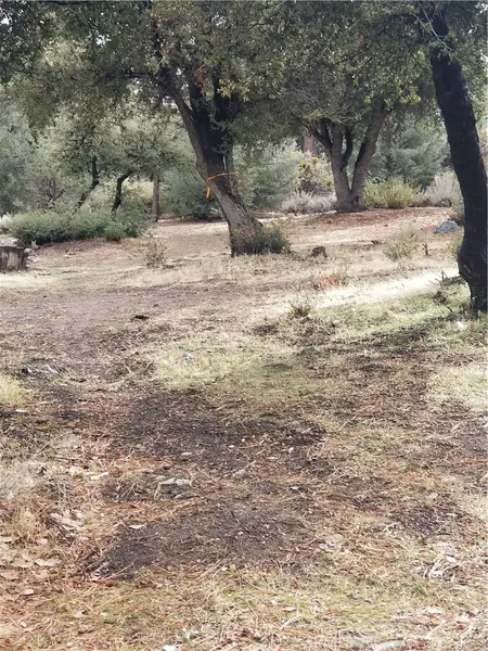 16220 Askin DR, Pine Mountain Club, CA 93222
