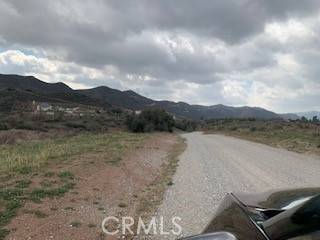 Agua Dulce, CA 91350,0 Vac/Vic Koontz Rd/Mint