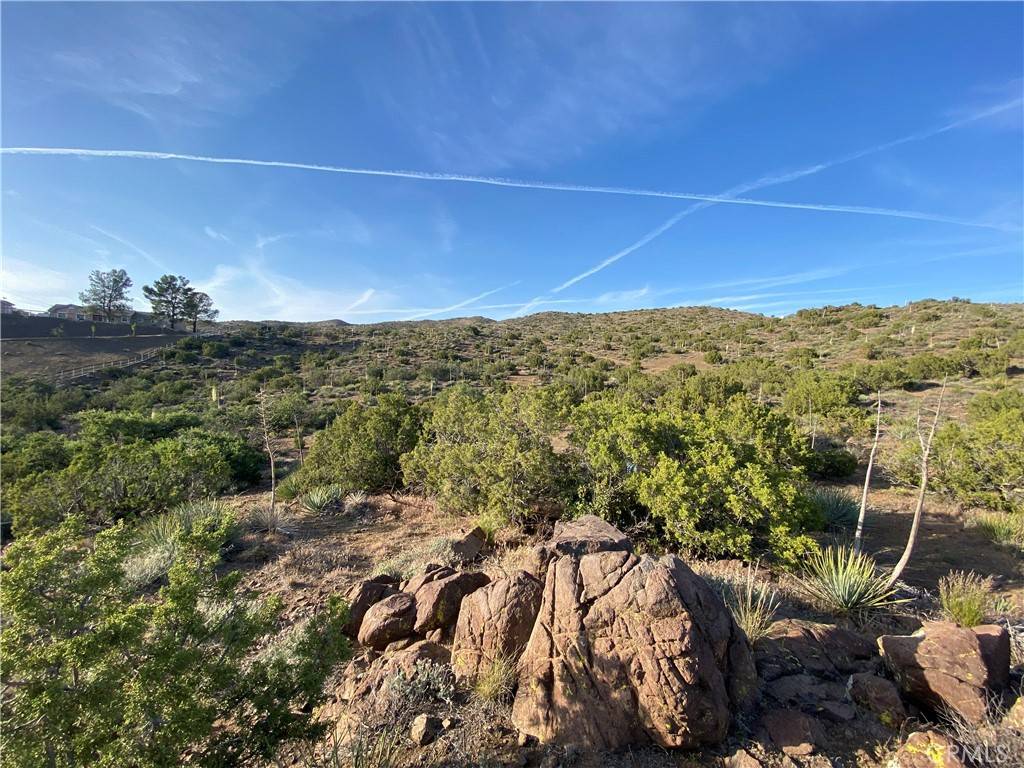 Acton, CA 93510,0 Vac/Hubbard Rd/Vic Bahmer