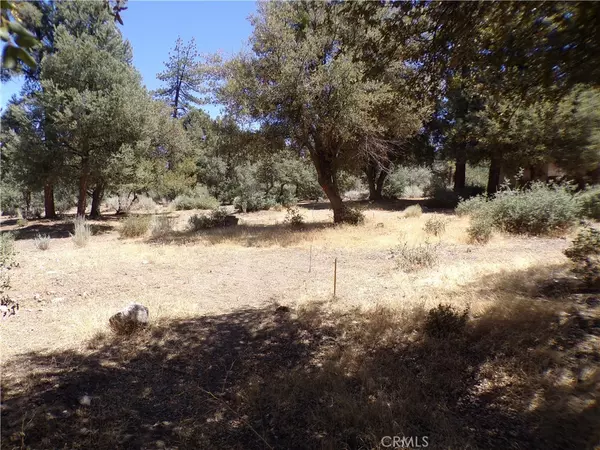 16220 Askin Drive, Pine Mountain Club, CA 93222