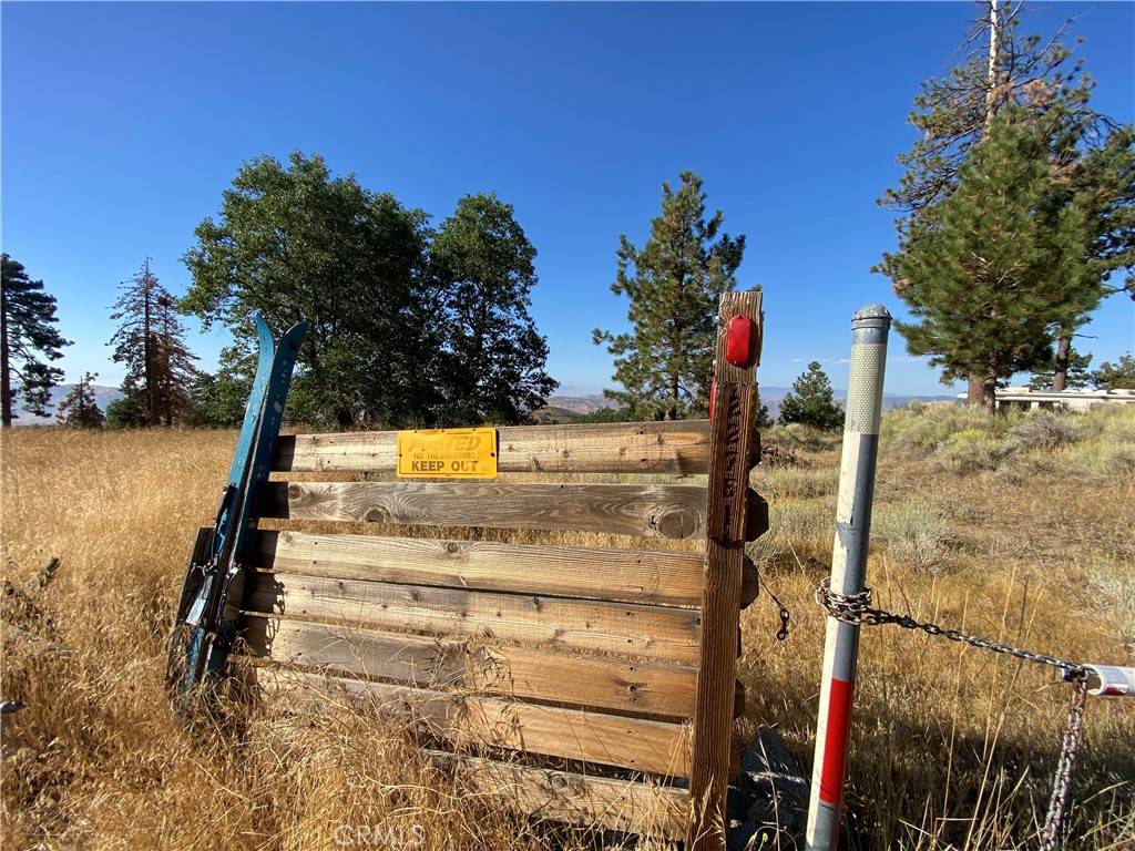 Alpine Forest, CA 93561,22751 Grimsel DR