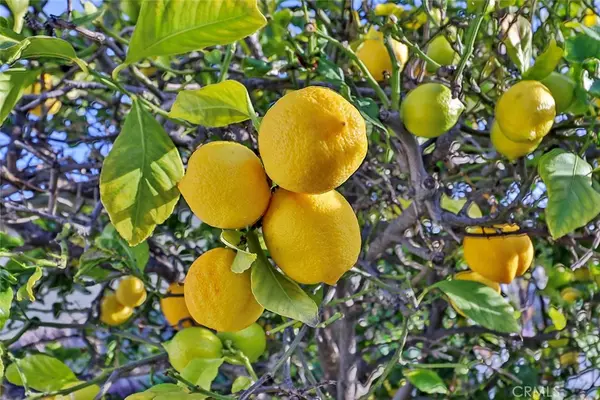 Newbury Park, CA 91320,212 Pepper RD