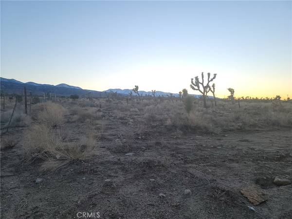 0 Vac/Cor Cadual Ave/Bammer St ST, Llano, CA 93544