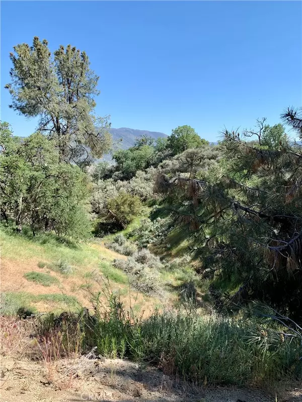 Tehachapi, CA 93561,21850 Horizon CT