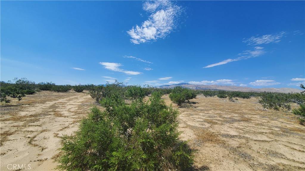 Rosamond, CA 93560,0 Budlong Ave & 114th St West